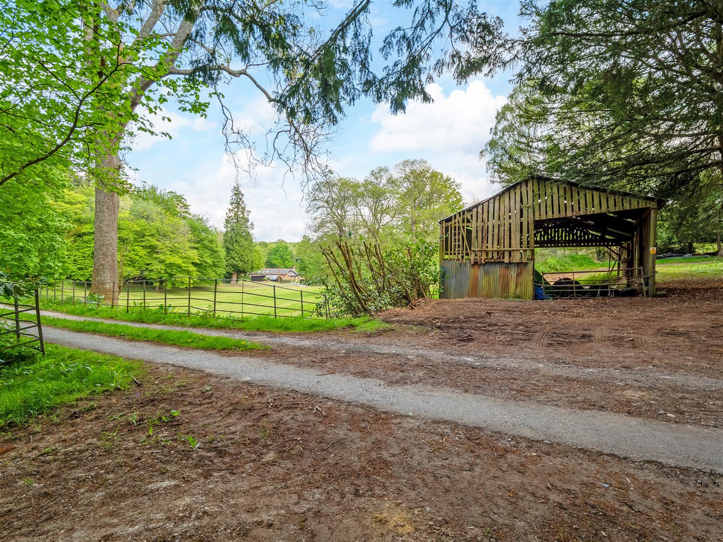 Ranmore Common, , Dorking