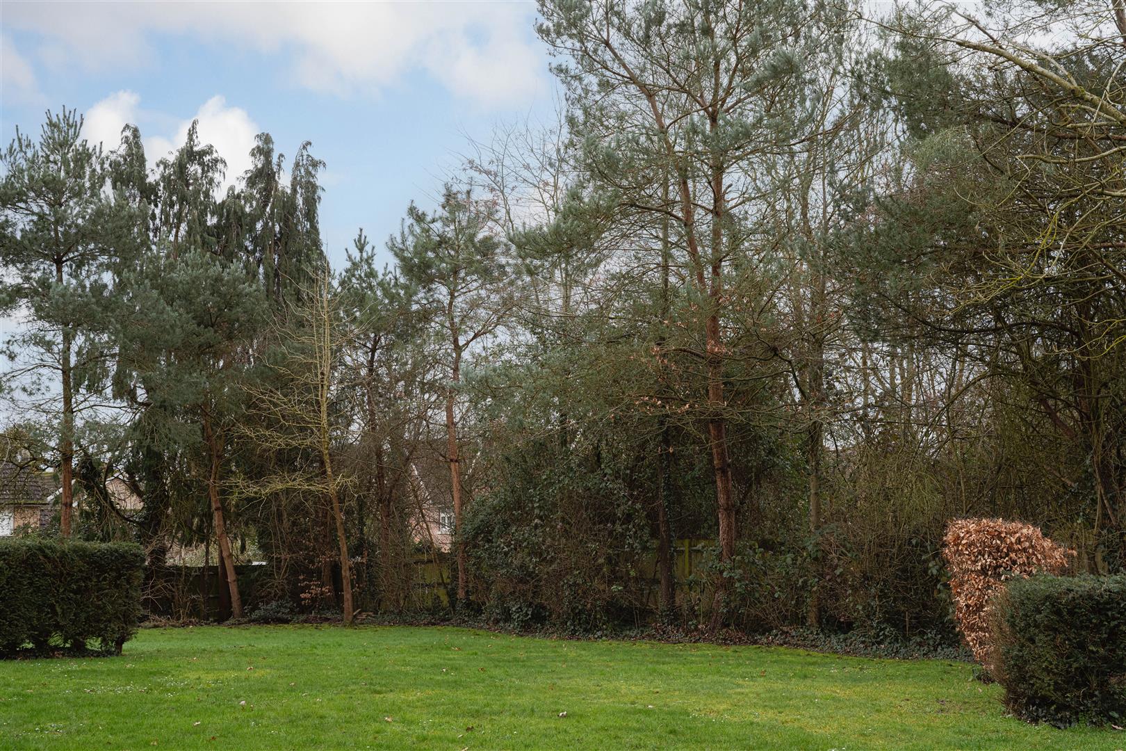 Hornbeam Road, , Reigate