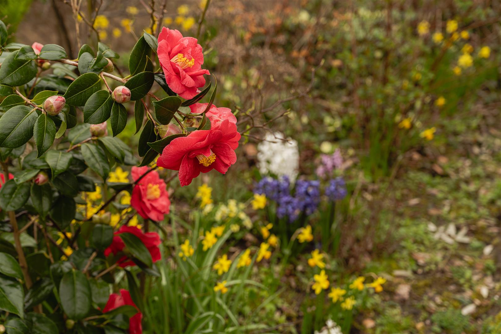 Wray Park Road, , Reigate