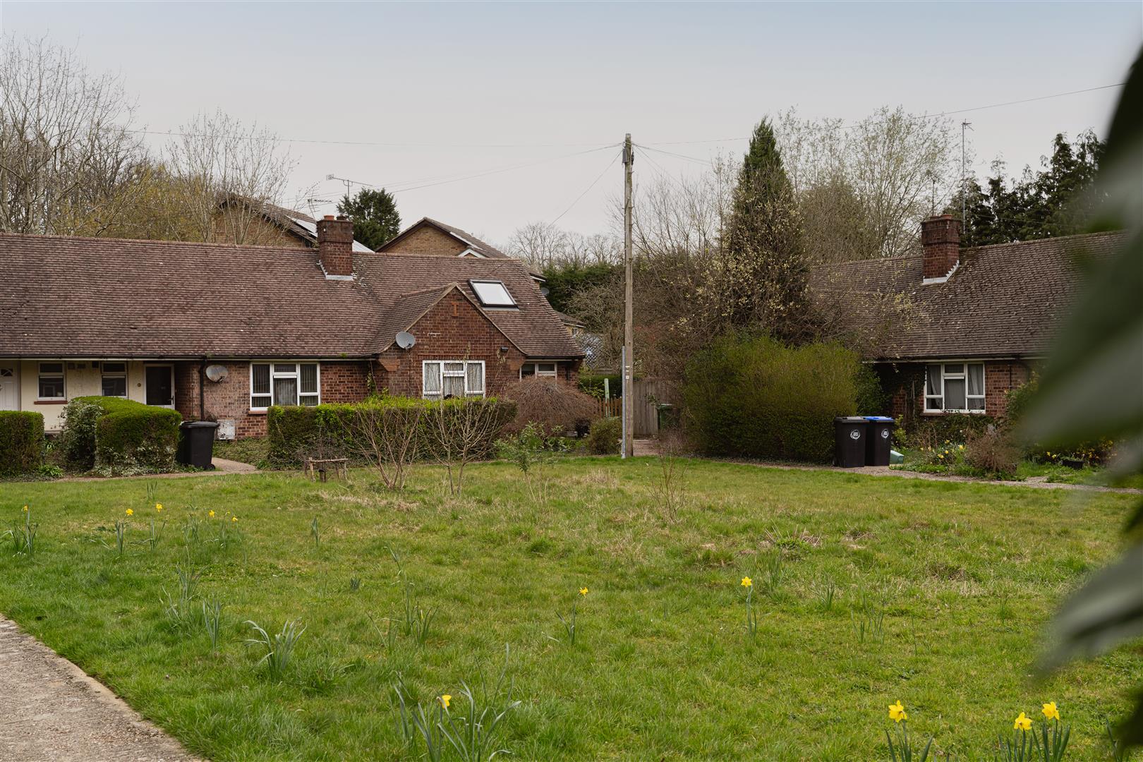 Paddock Close, , Beare Green