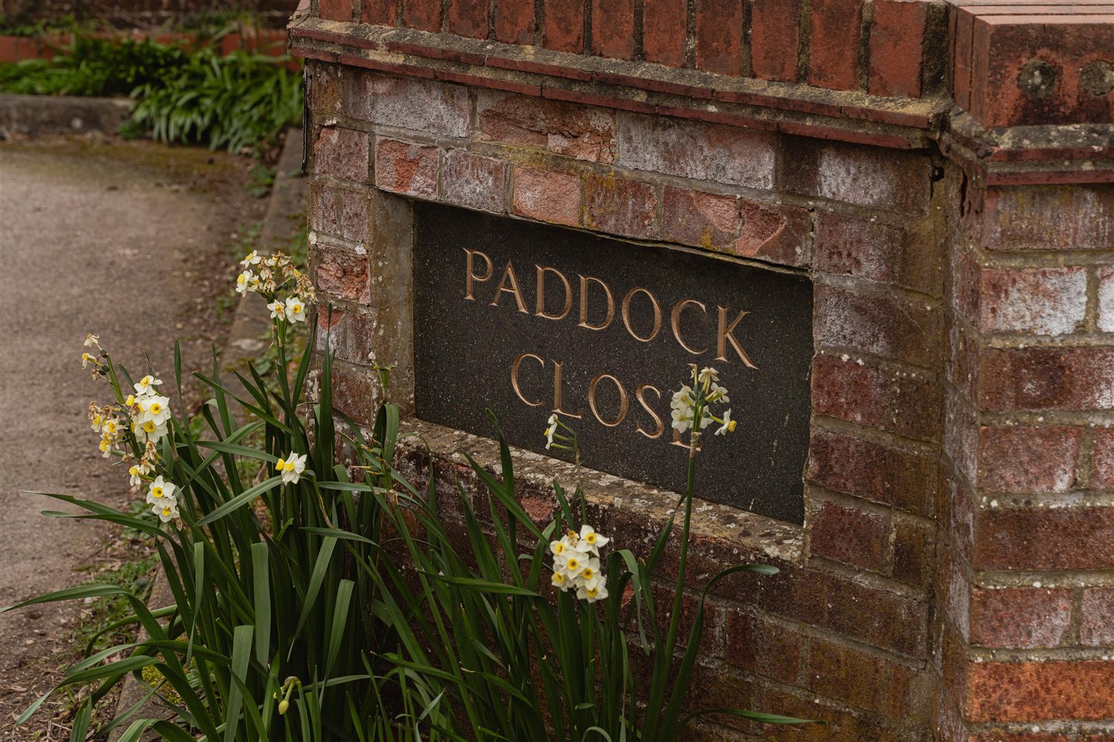 Paddock Close, , Beare Green