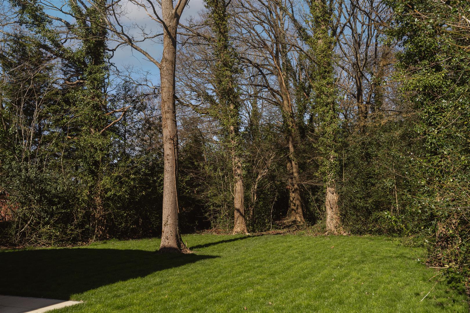 Weatherhill Road, , Smallfield