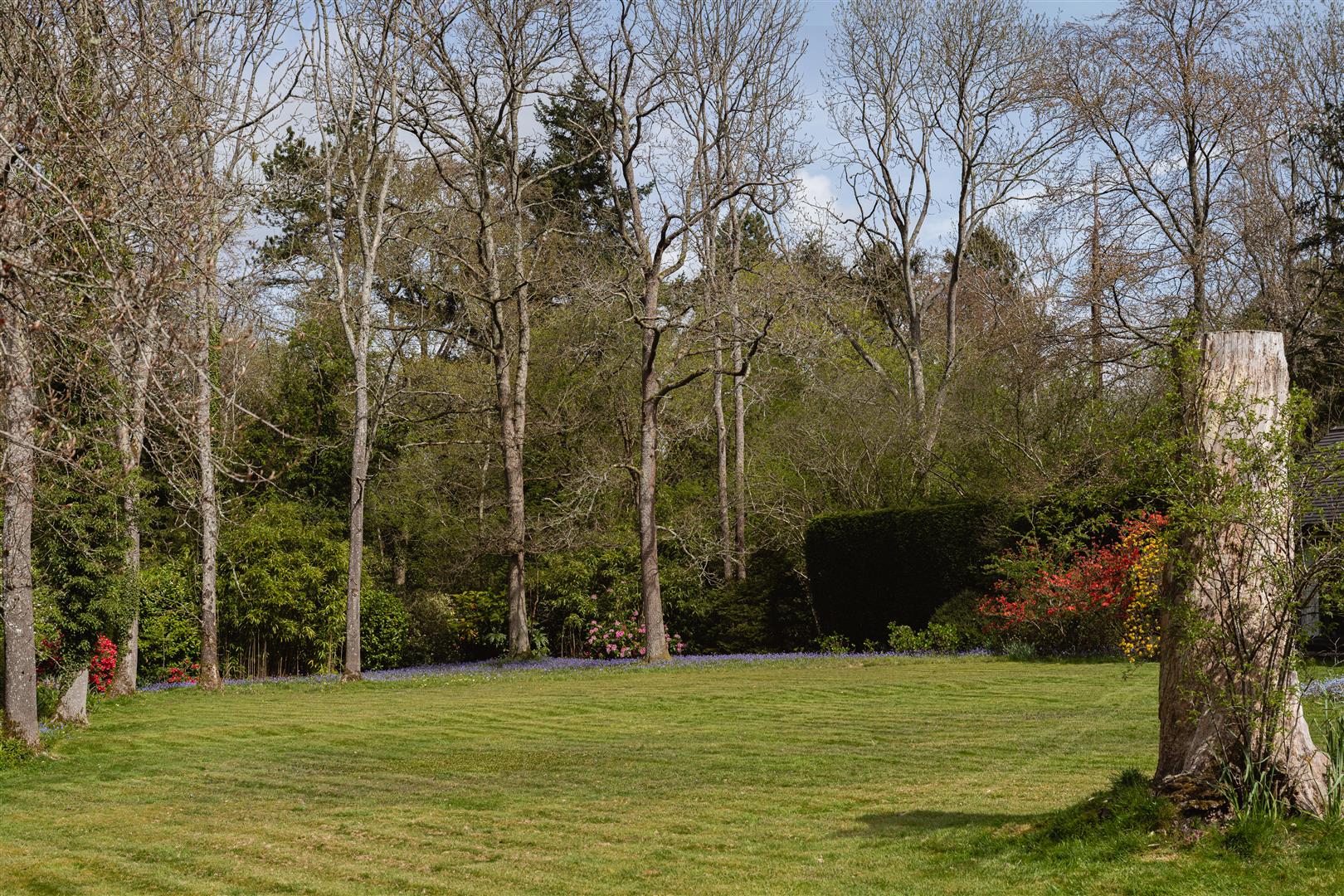 Woodland Drive, Ockley, Dorking