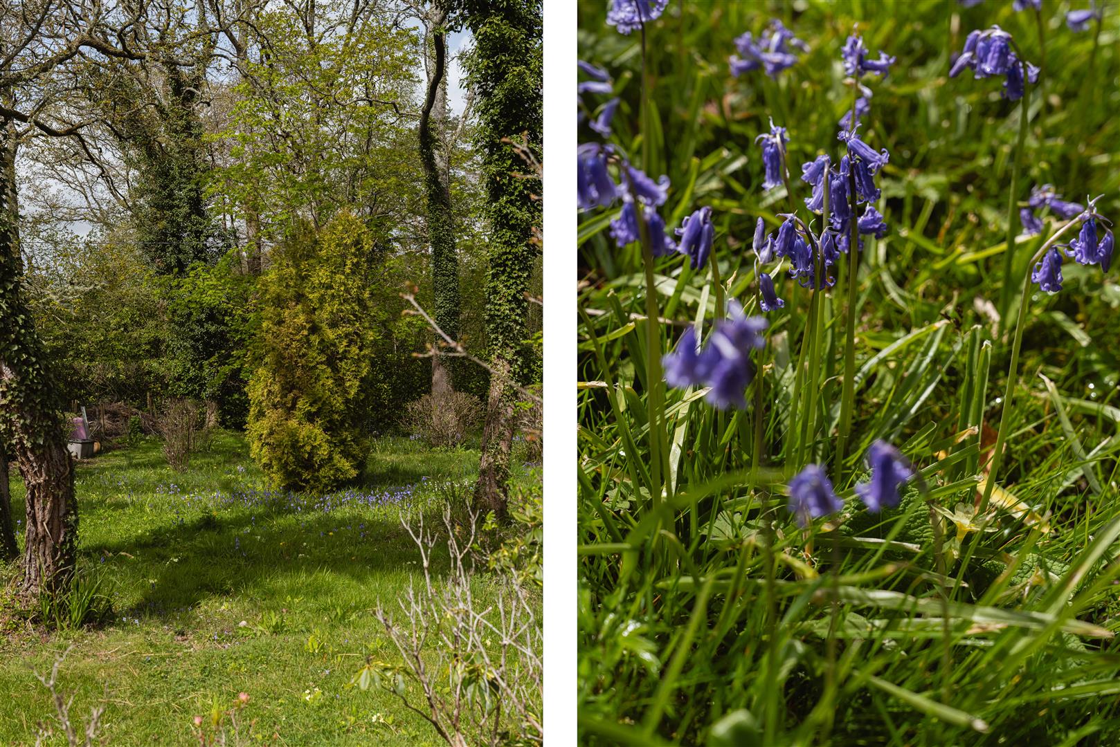 Woodland Drive, Ockley, Dorking