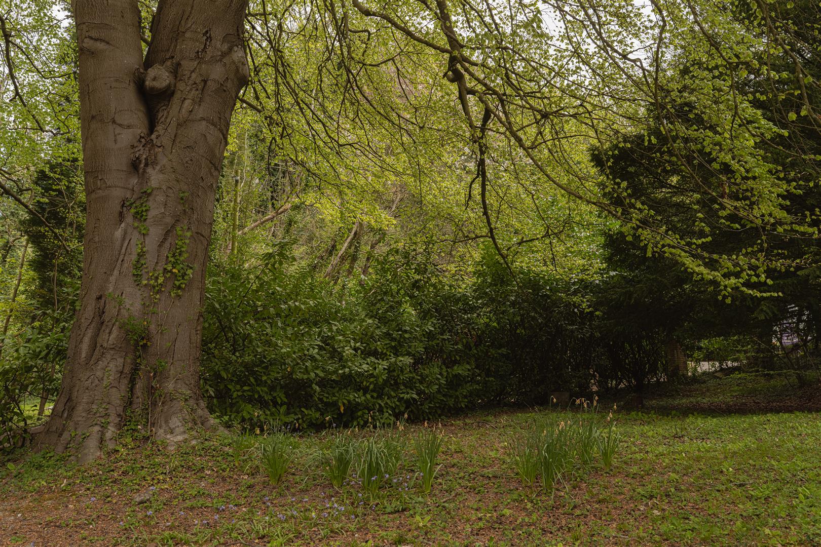 The Conduit, Bletchingley, Redhill