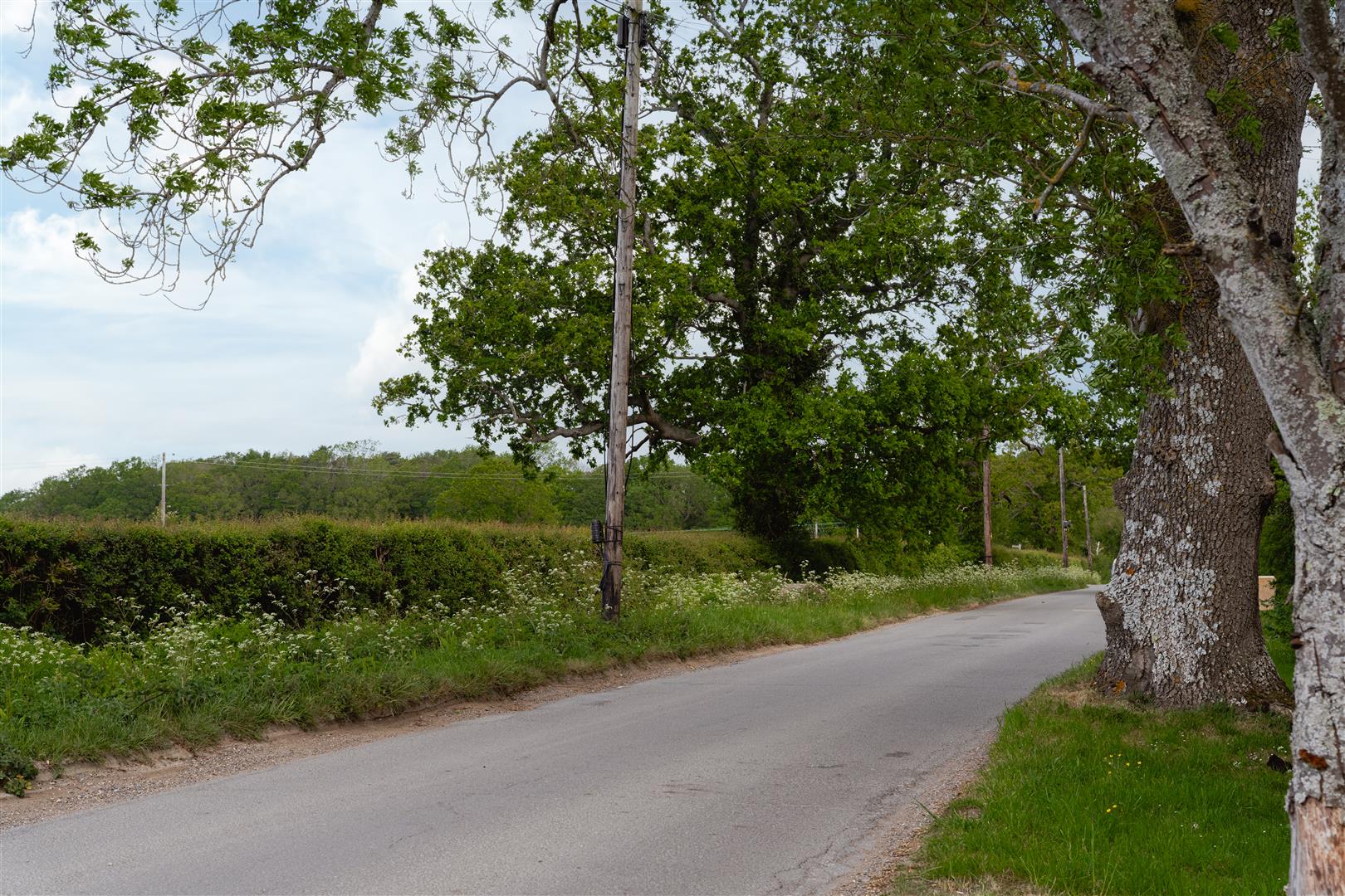 Lonesome Lane, , Reigate