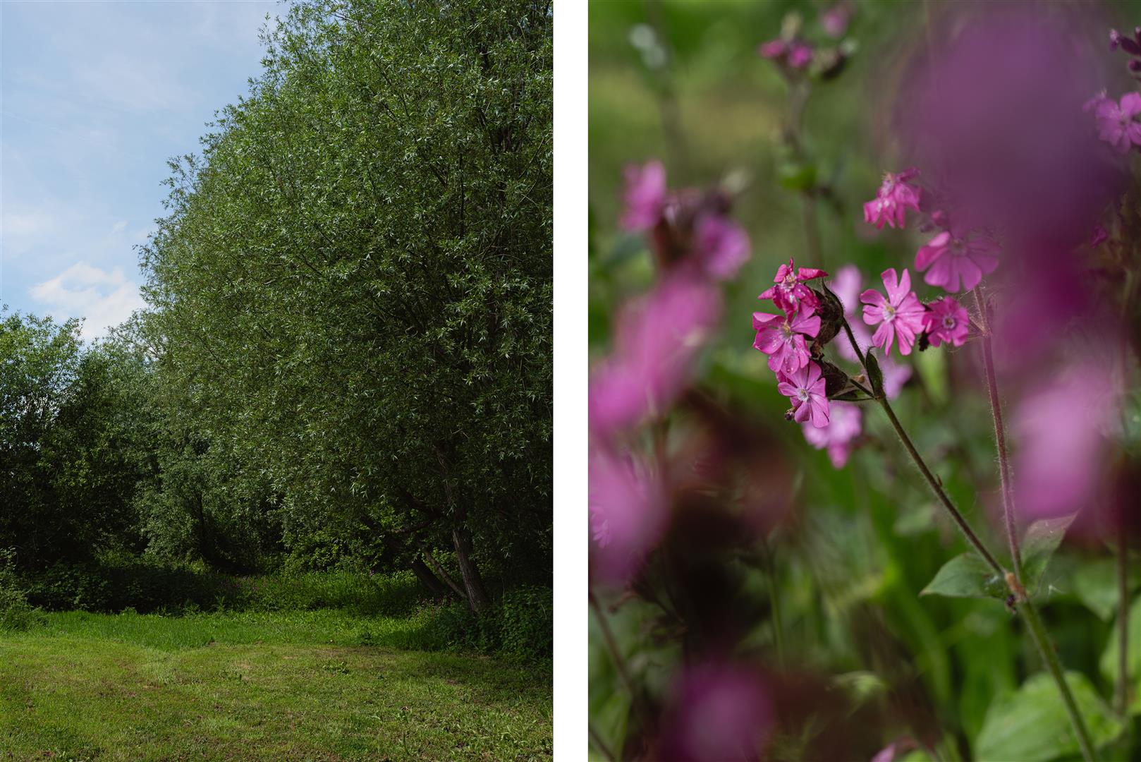 Clay Lane, South Nutfield, Redhill