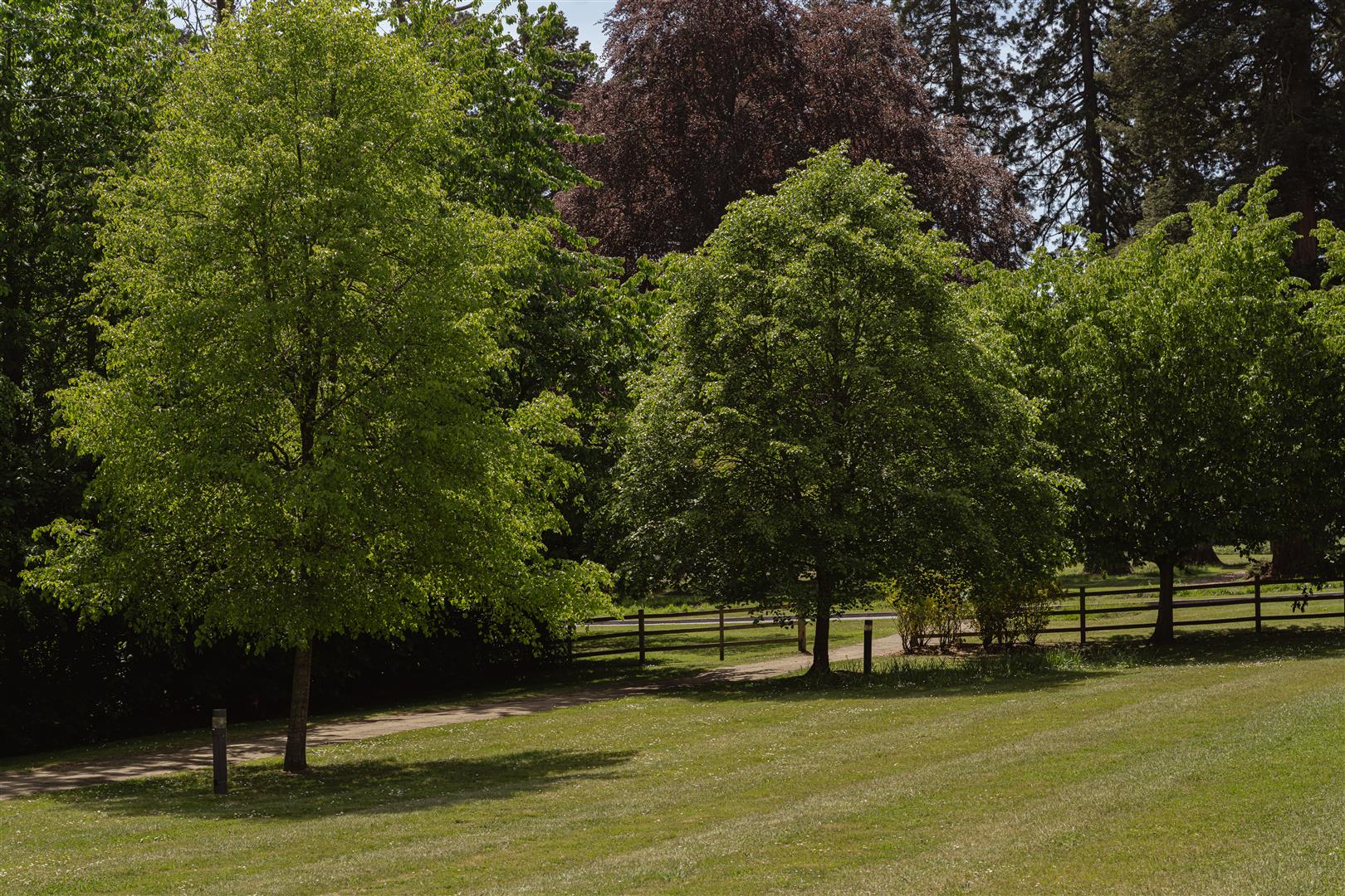 Royal Earlswood Park, , Redhill