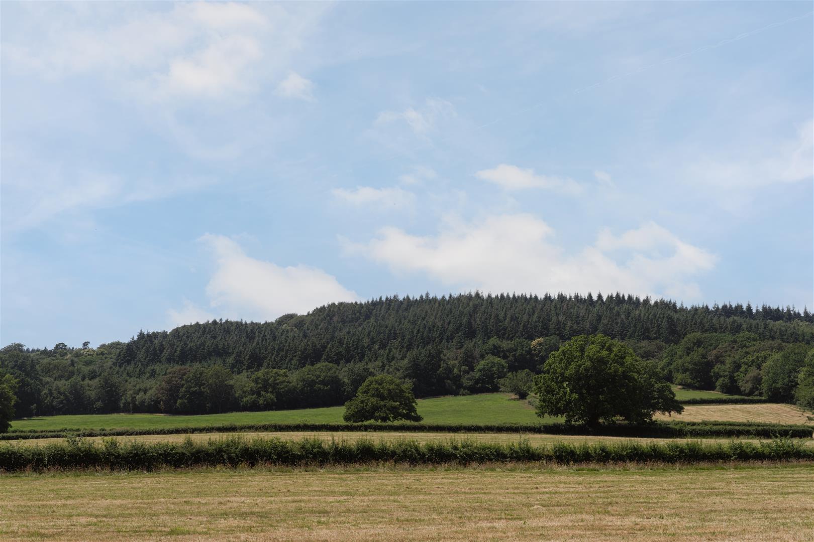 Warwick Close, Holmwood, Dorking