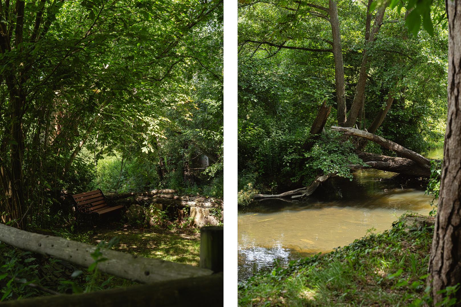 Pixham Lane, Pixham, Dorking