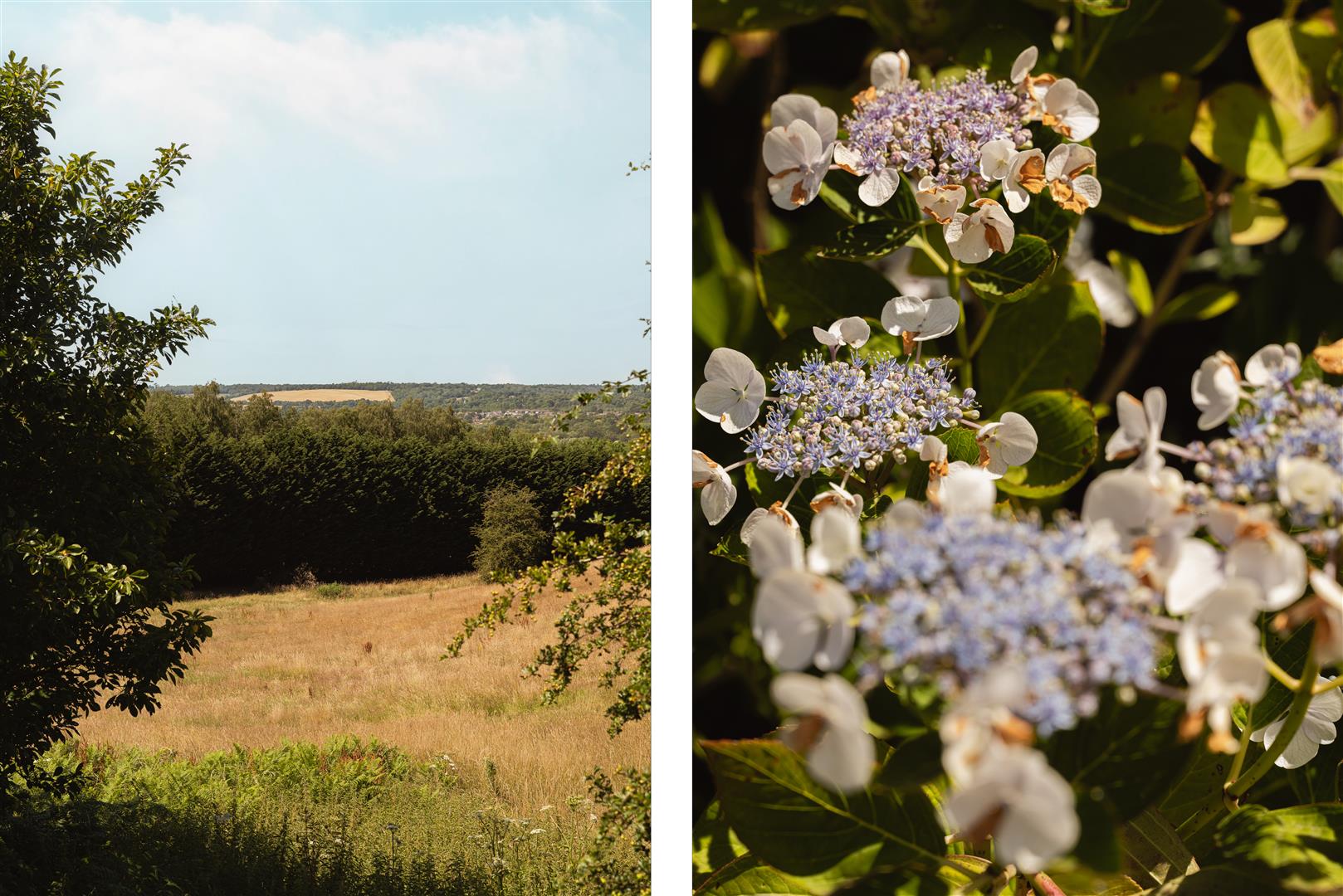 Big Common Lane, , Bletchingley