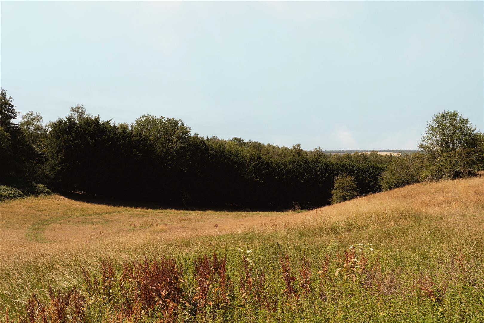 Big Common Lane, , Bletchingley