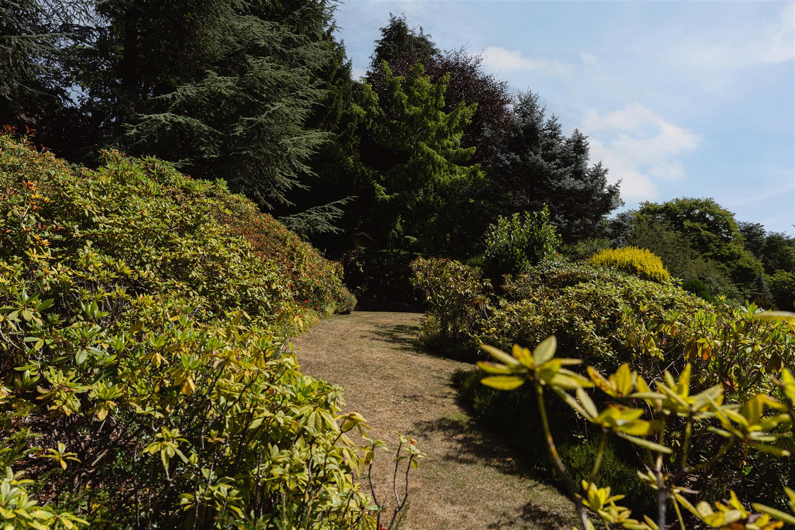 Quarry Hill Park, , Reigate