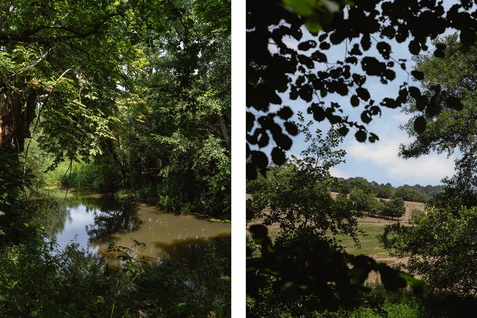 Pixham Lane, Pixham, Dorking