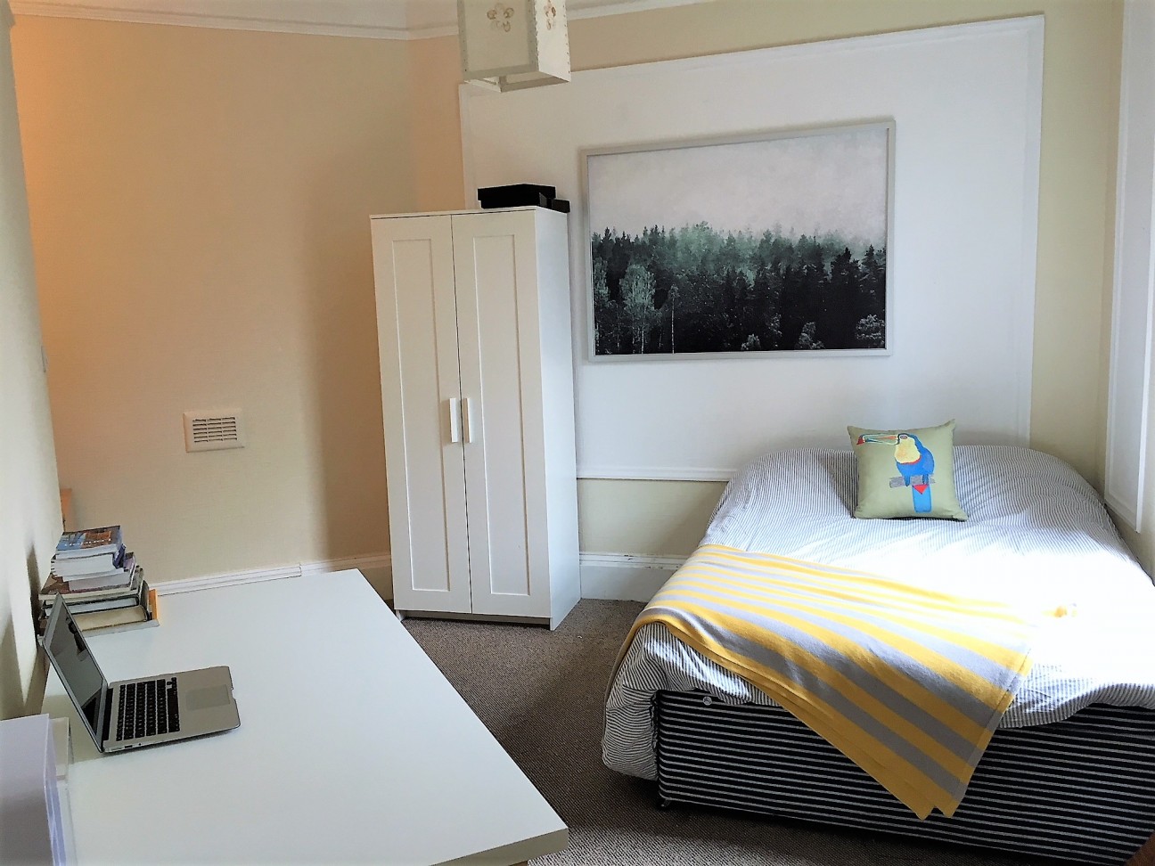 Individual Rooms Available Now, Plymouth