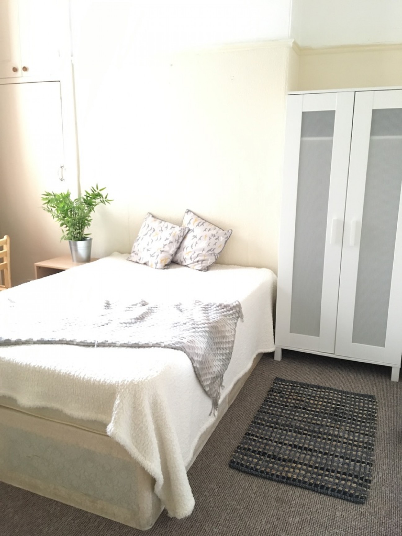 Individual Rooms Available Now, Plymouth