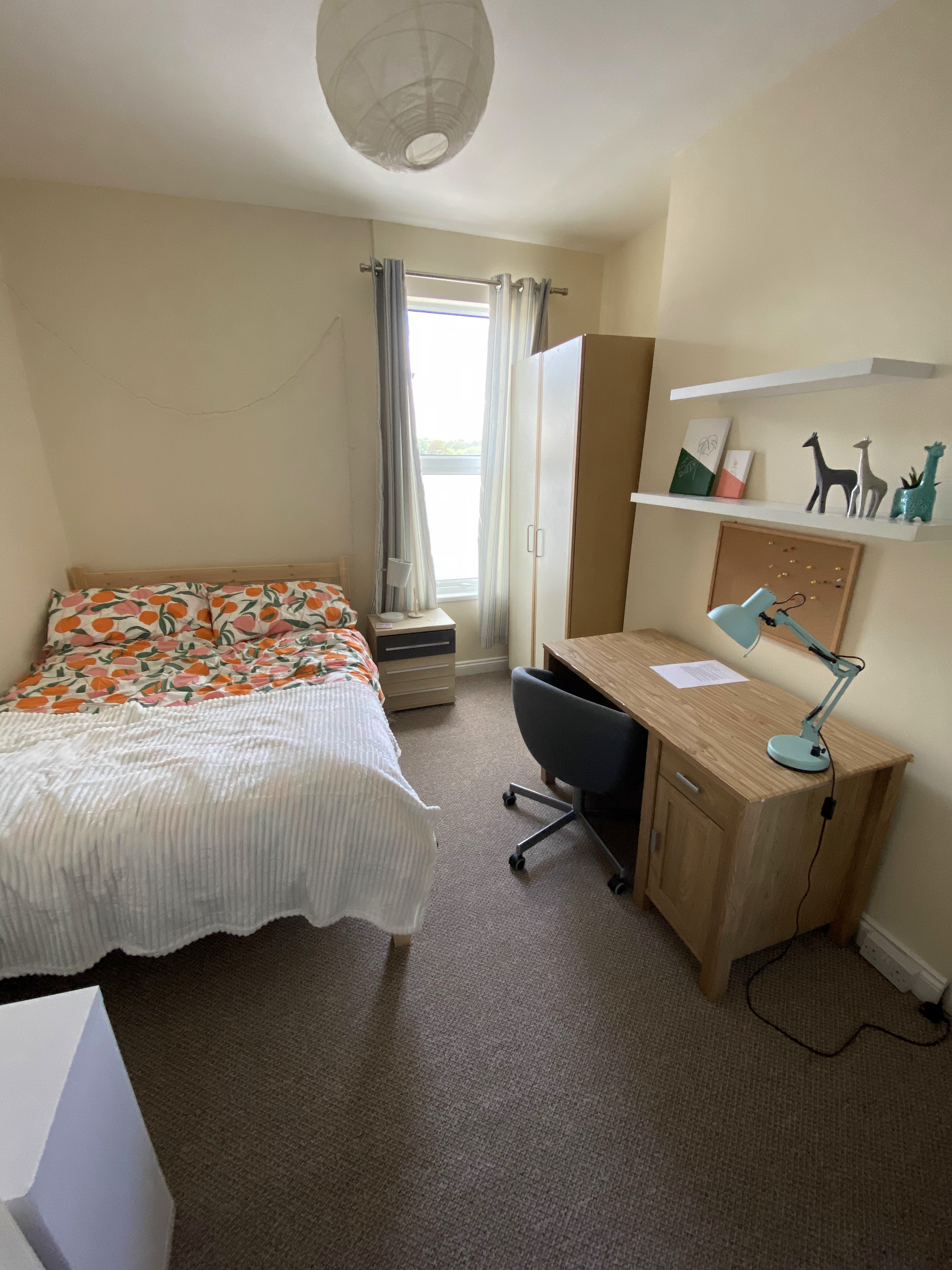 Glen Park Avenue, Plymouth