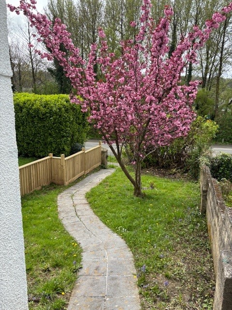 Plymouth Road, Plympton, Plymouth