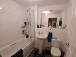 Daffodil Drive, Lydney