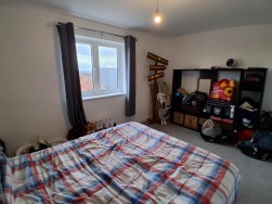 Daffodil Drive, Lydney