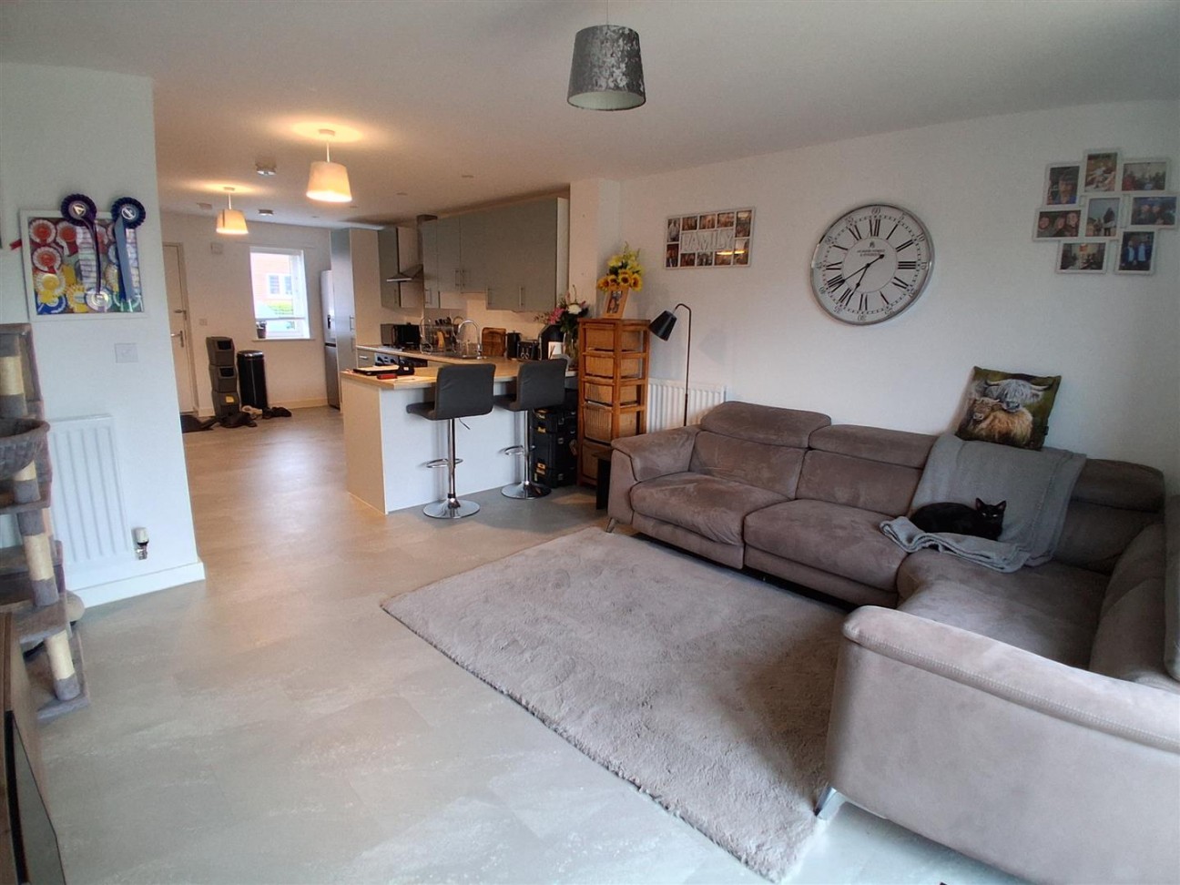 Daffodil Drive, Lydney