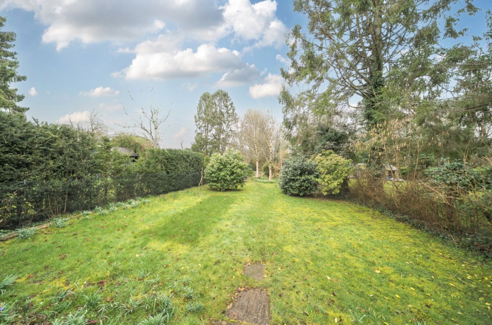 Four Marks, Alton, Hampshire