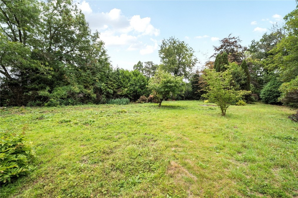 Bramley, Guildford, Surrey