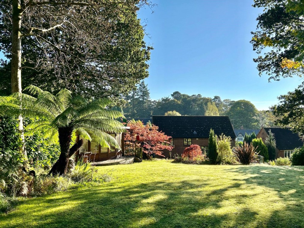 Beech Hill, Headley Down, Hampshire