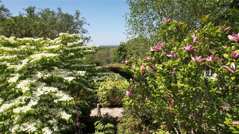Headley, Hampshire