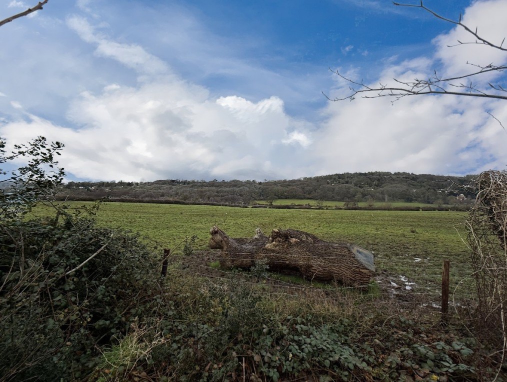 Nailsea, North Somerset