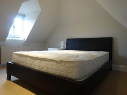 Best Lane, Canterbury