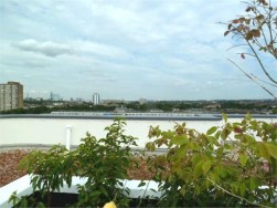 Sesame Apartments, Holman Road, Battersea