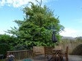 Image for Cowlersley