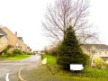 Image for Martin Bank Wood, Almondbury, Huddersfield