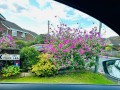Image for Park Lea, Huddersfield