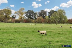 Arundel Road, Bulkington, CV12 9QS