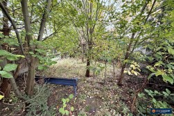 Kenilworth Drive, Weavers Green, Nuneaton, CV11 5XP