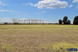 Foxs Covert, Fenny Drayton, CV13 6BQ