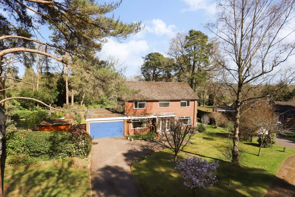 Farnham, Surrey