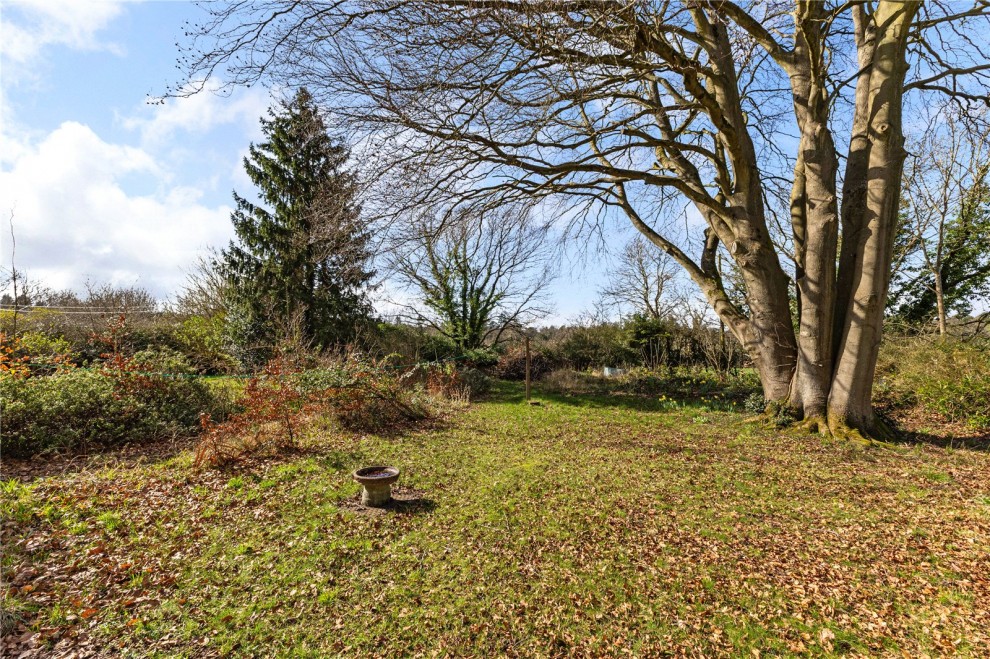 The Sands, Farnham, Surrey