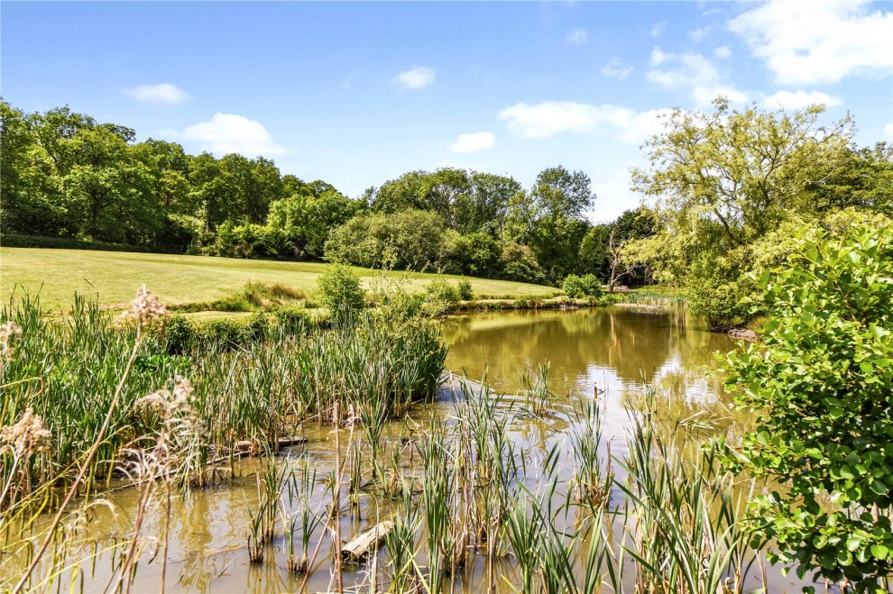 Frith End, Hampshire