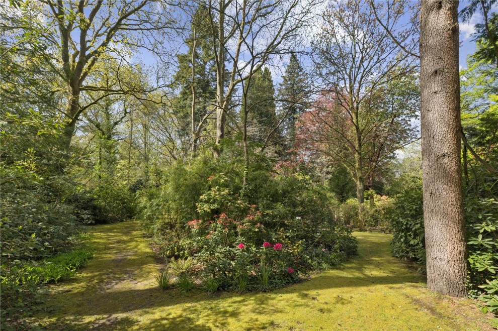Farnham, Surrey