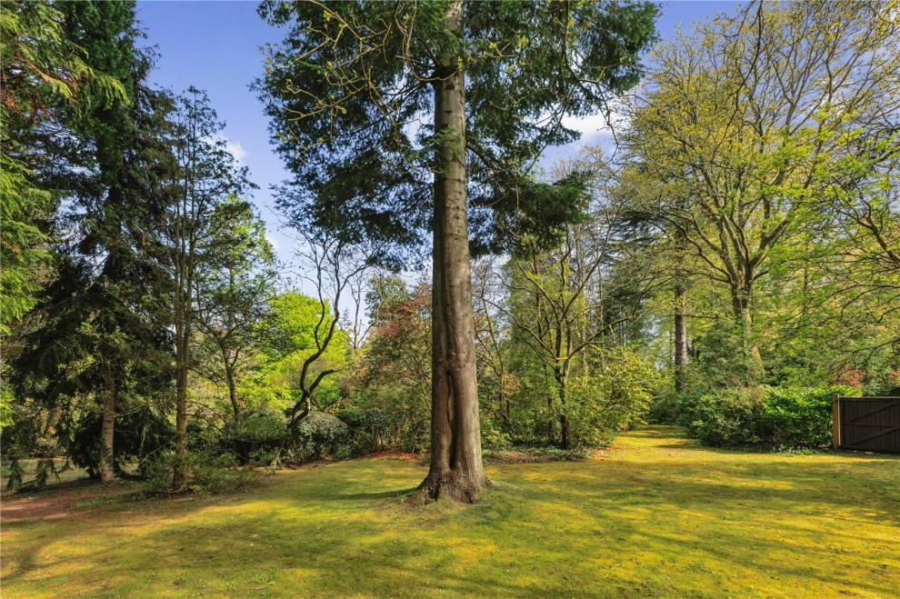 Farnham, Surrey