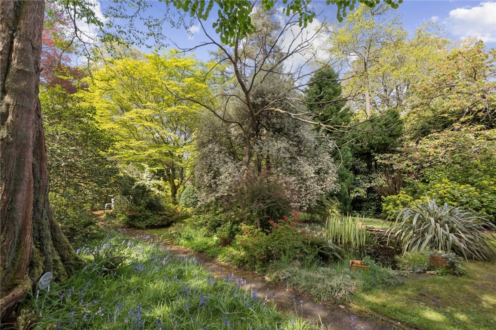 Farnham, Surrey