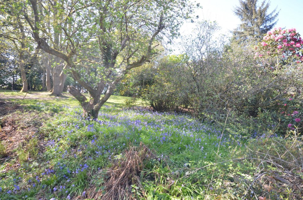 Churt, Farnham, Surrey