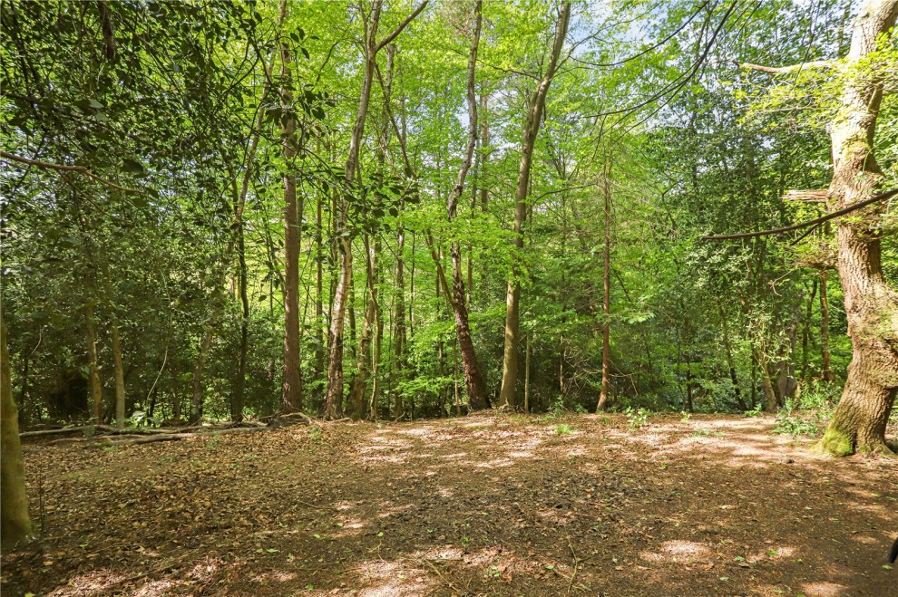 Farnham, Surrey