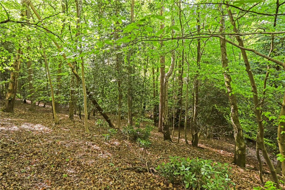 Farnham, Surrey