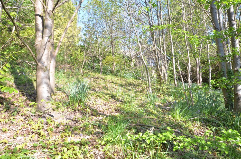Burnt Hill Road, Farnham, Surrey