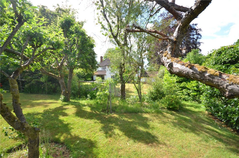 Old Compton Lane, Farnham, GU9