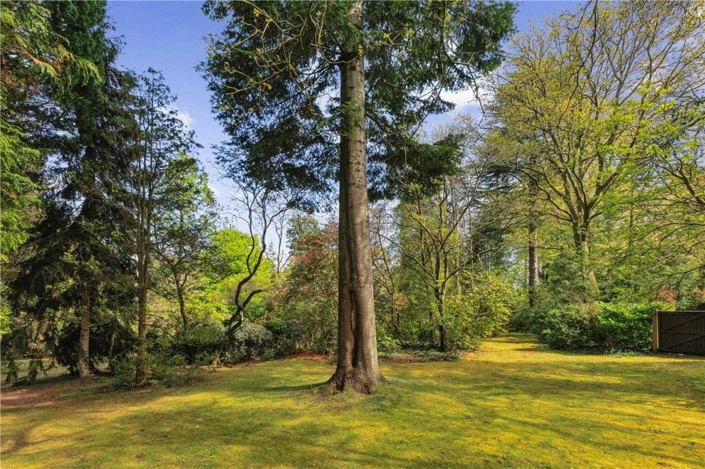 56 Crooksbury Road, Farnham, GU10